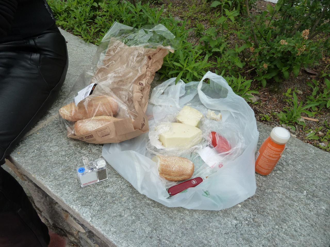 p1050850.jpg