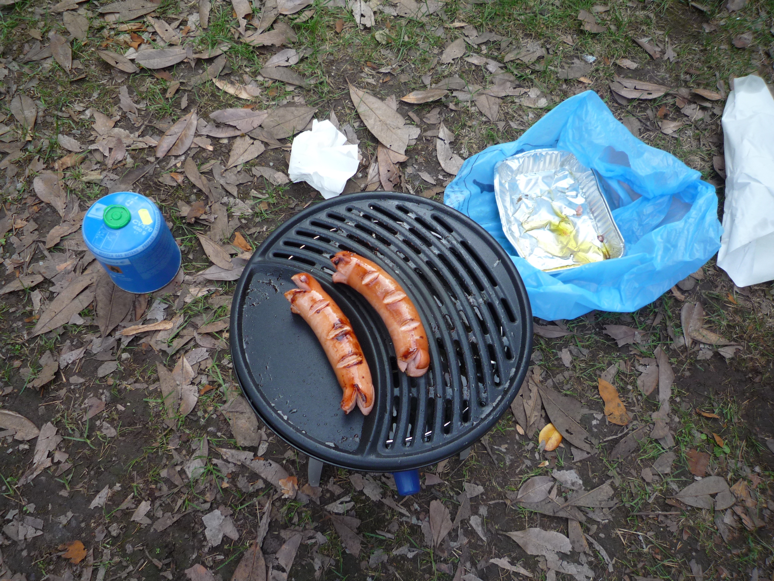 p1010737.jpg