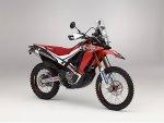 Honda CRF250 Rally.jpg