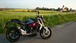 Brutale RR 800.JPG