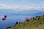 090627_5_Makedonien-Ohridsee.jpg