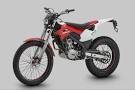 index Montesa.jpg