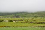 DSC_1458.JPG