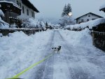 0201209_Schnee 6.jpg