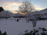 20211207_Winter 06.jpg