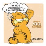 garfield-5.jpg