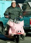 pig_bike2.jpg