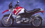 r1100gs.jpg