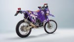 1995-KTM-620-Rally-Heinz-Kinigadner.jpg