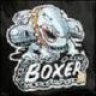 s-boxer