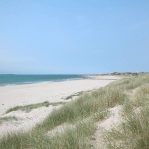 Am Sandstrand im Sden Norwegens