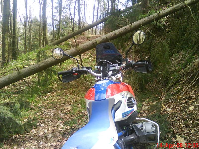 schon wieder baum auf dem weg