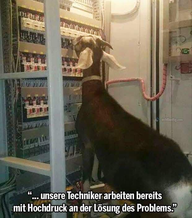 01476793-75c3-4688-9793-8b6437bc918e.jpeg
