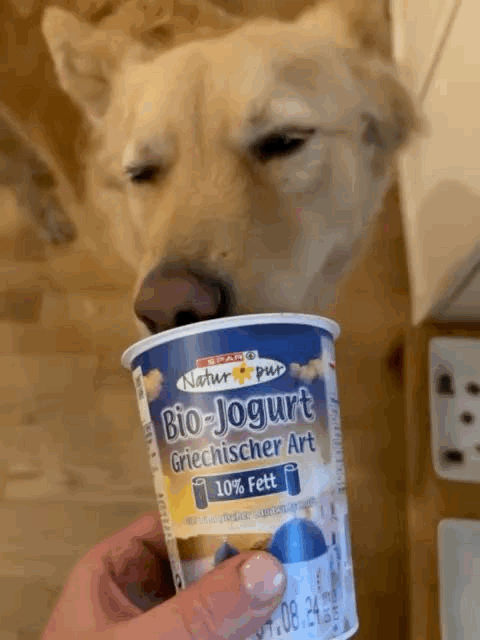 025226A1-7477-4DB9-9BC0-49AD70279457.gif