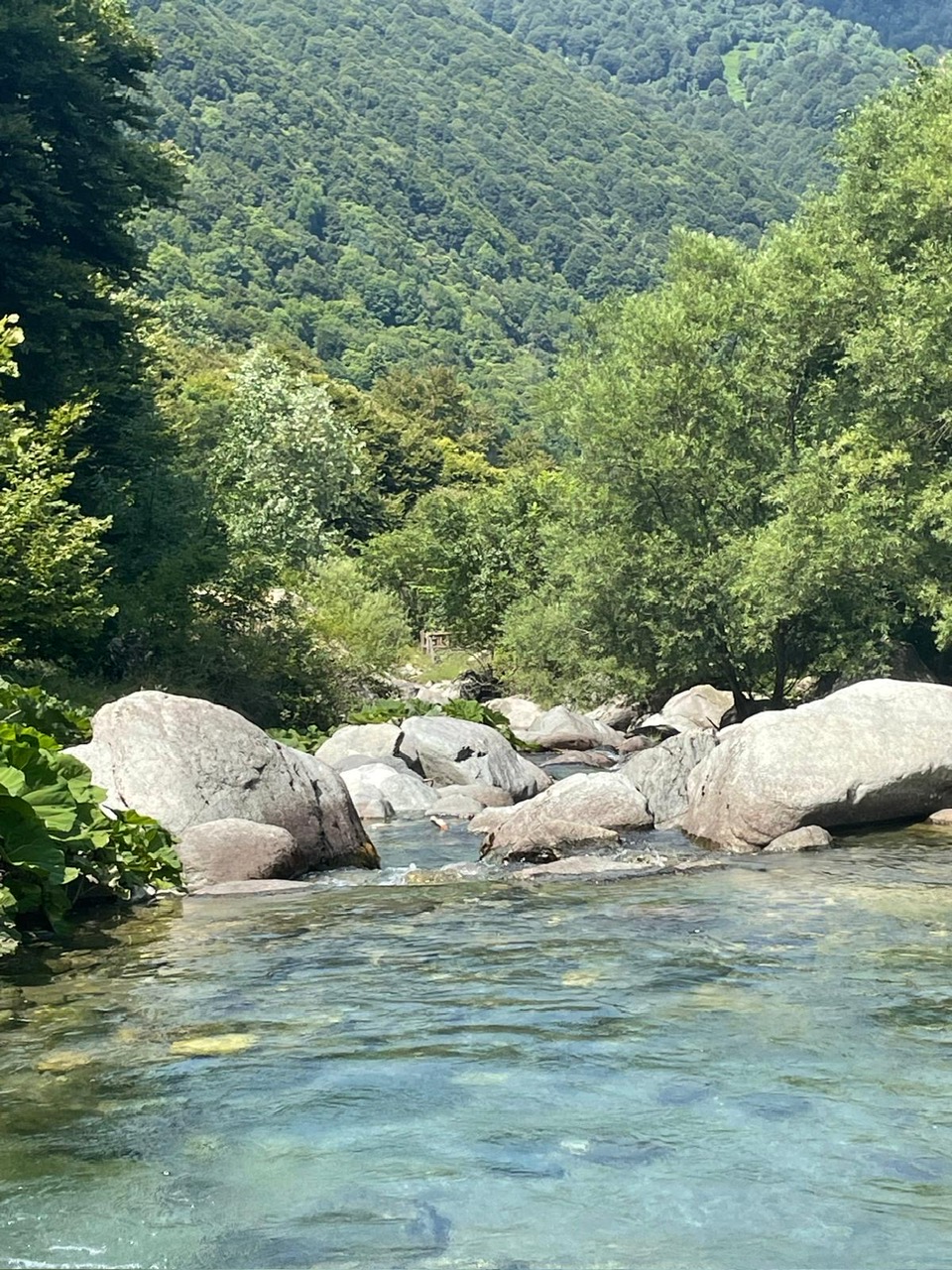 048a700e-7c87-4f6a-824b-0566e6003c8e.JPG