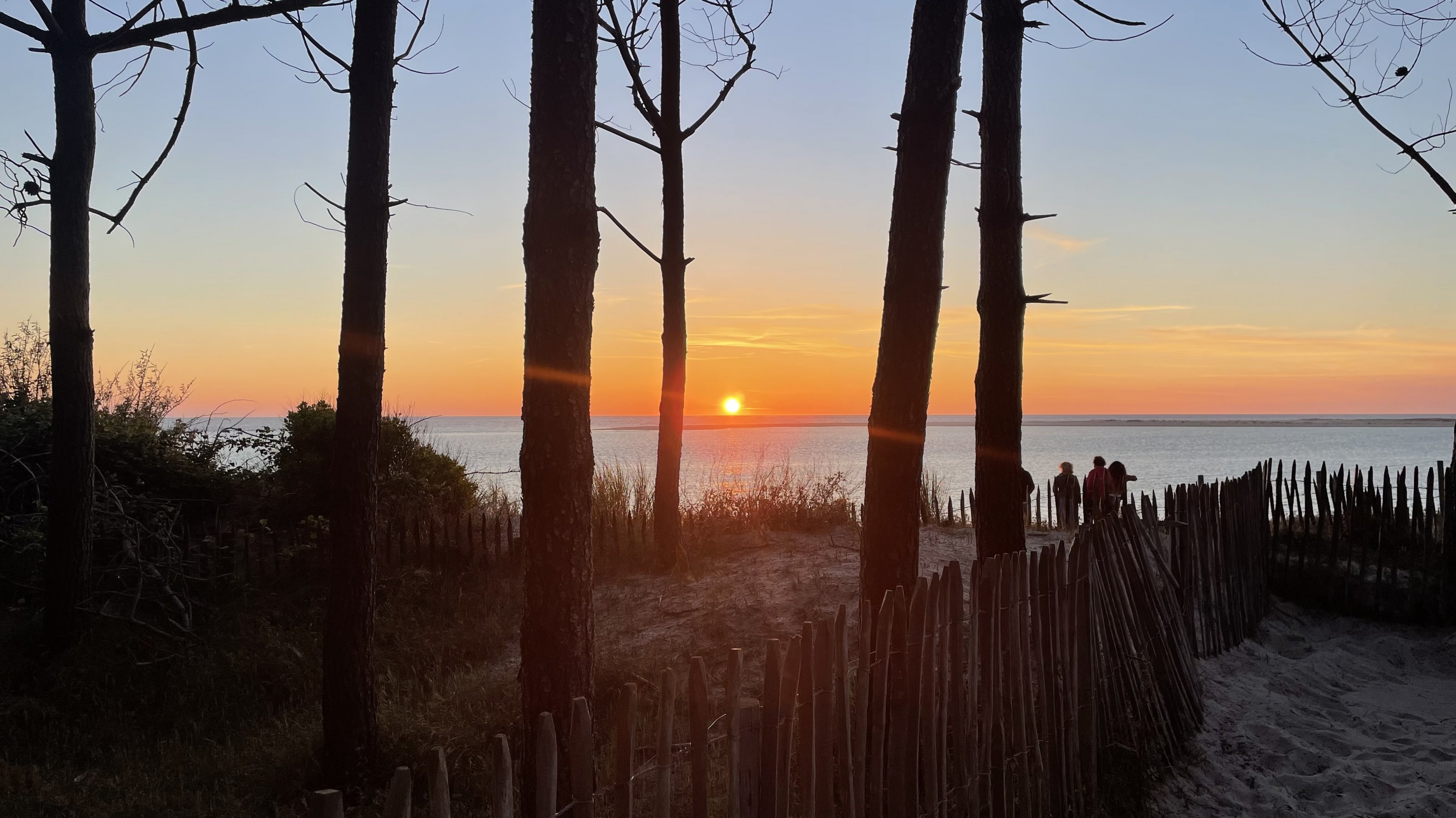 06122878-408D-41A5-BA2E-6B1977729A28.jpeg
