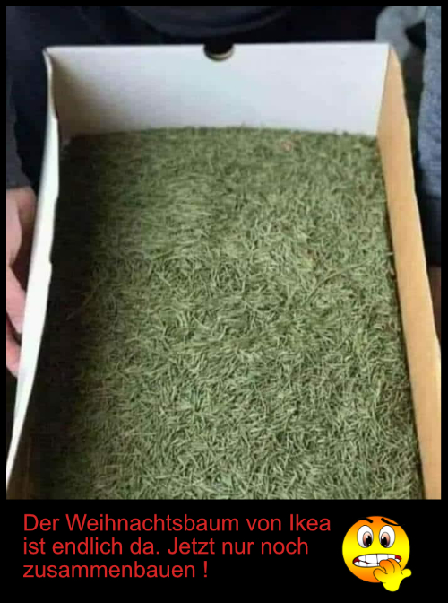 100.jpg