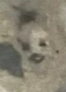 1000011031.png