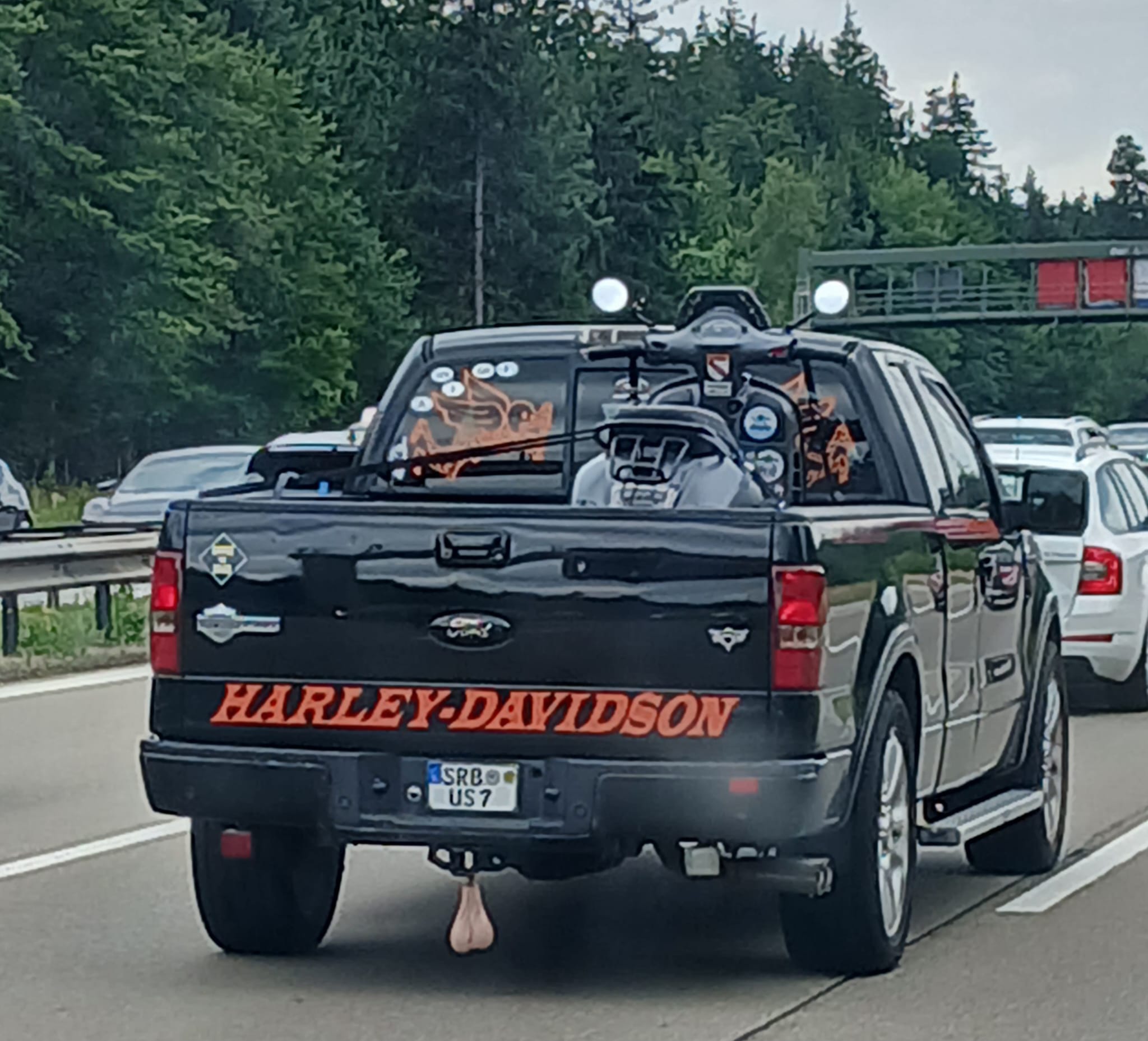 1000035704.jpg