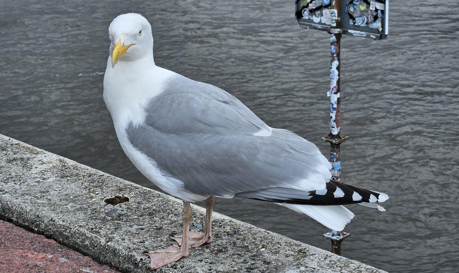 1000059520.jpg
