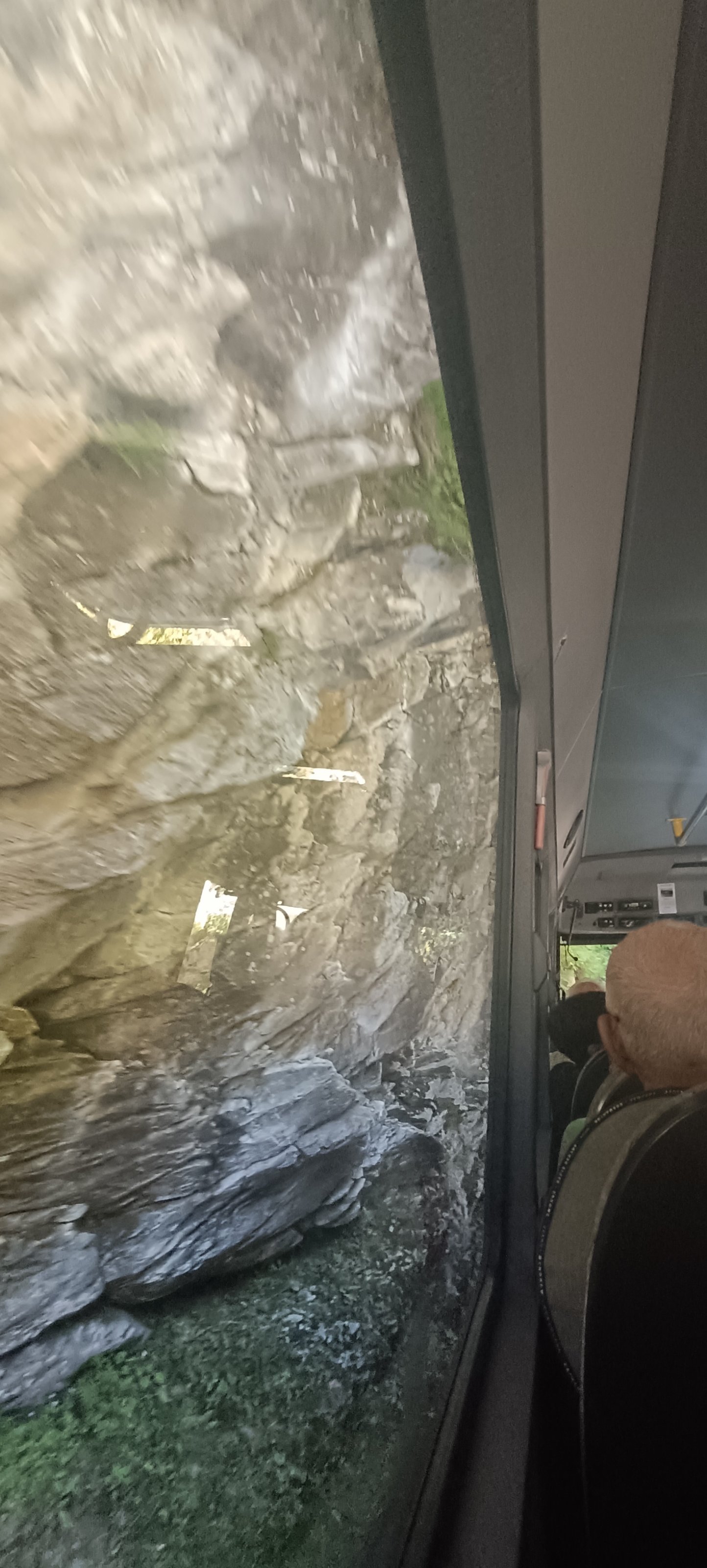 1000064410.jpg