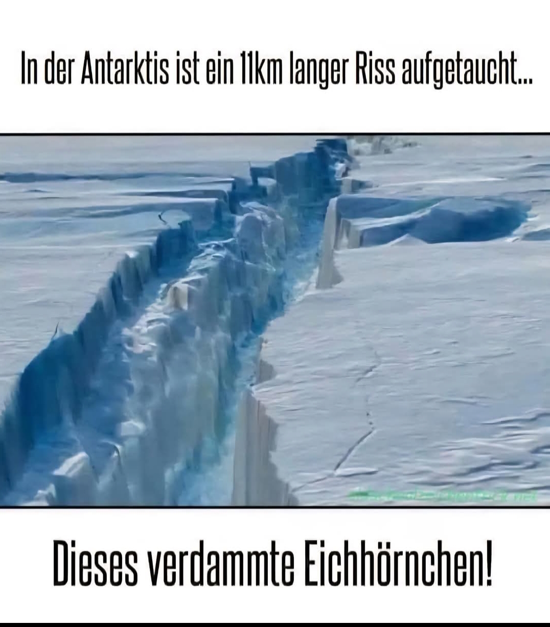 1000066359.jpg