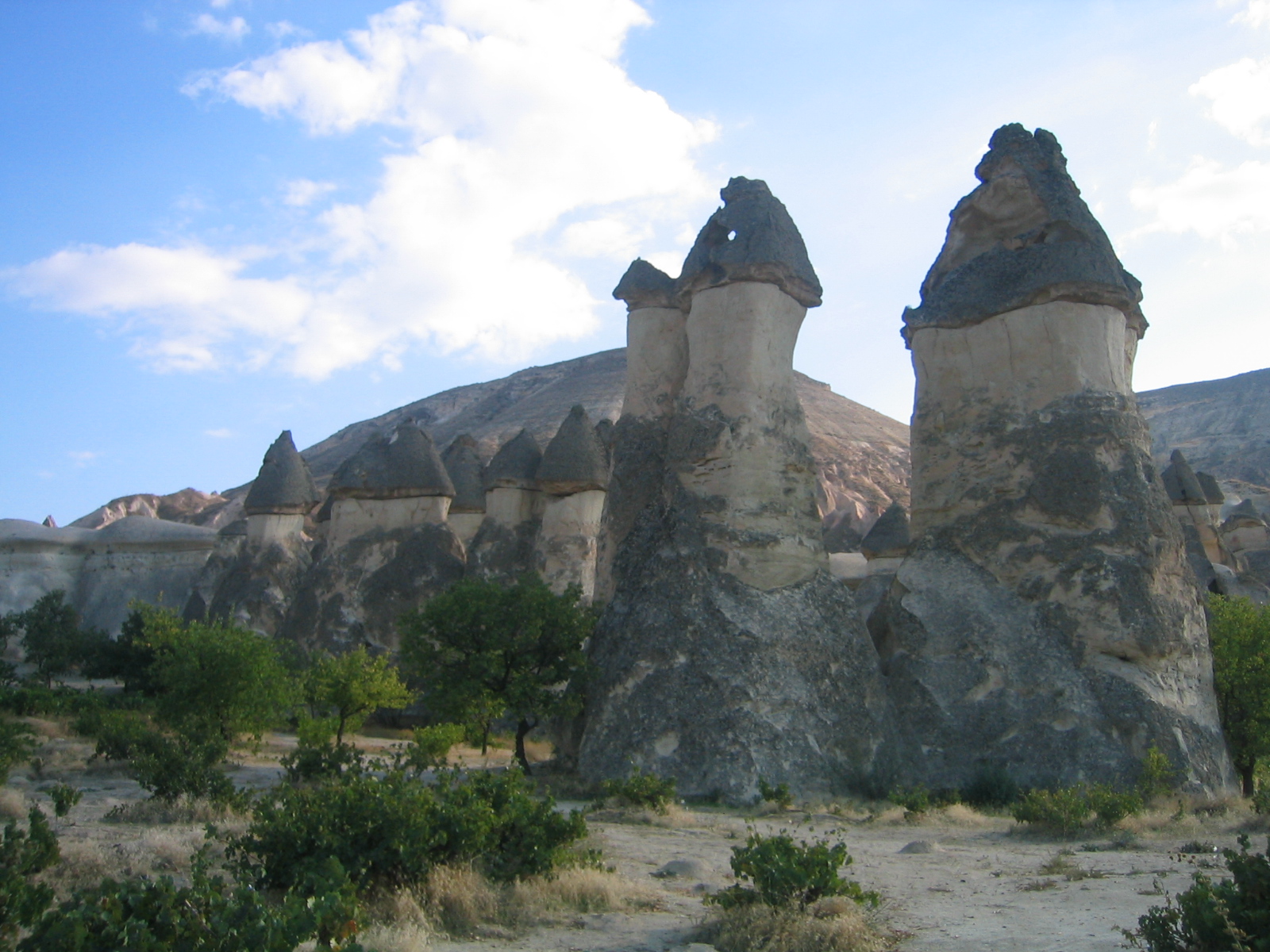 100_0053.JPG