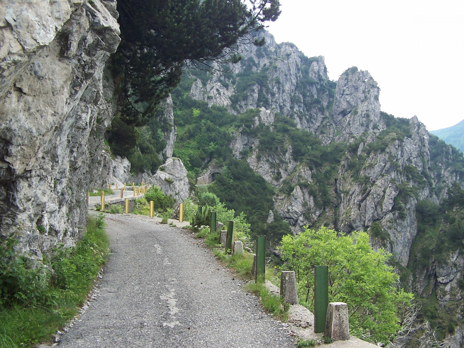 100_8742.JPG