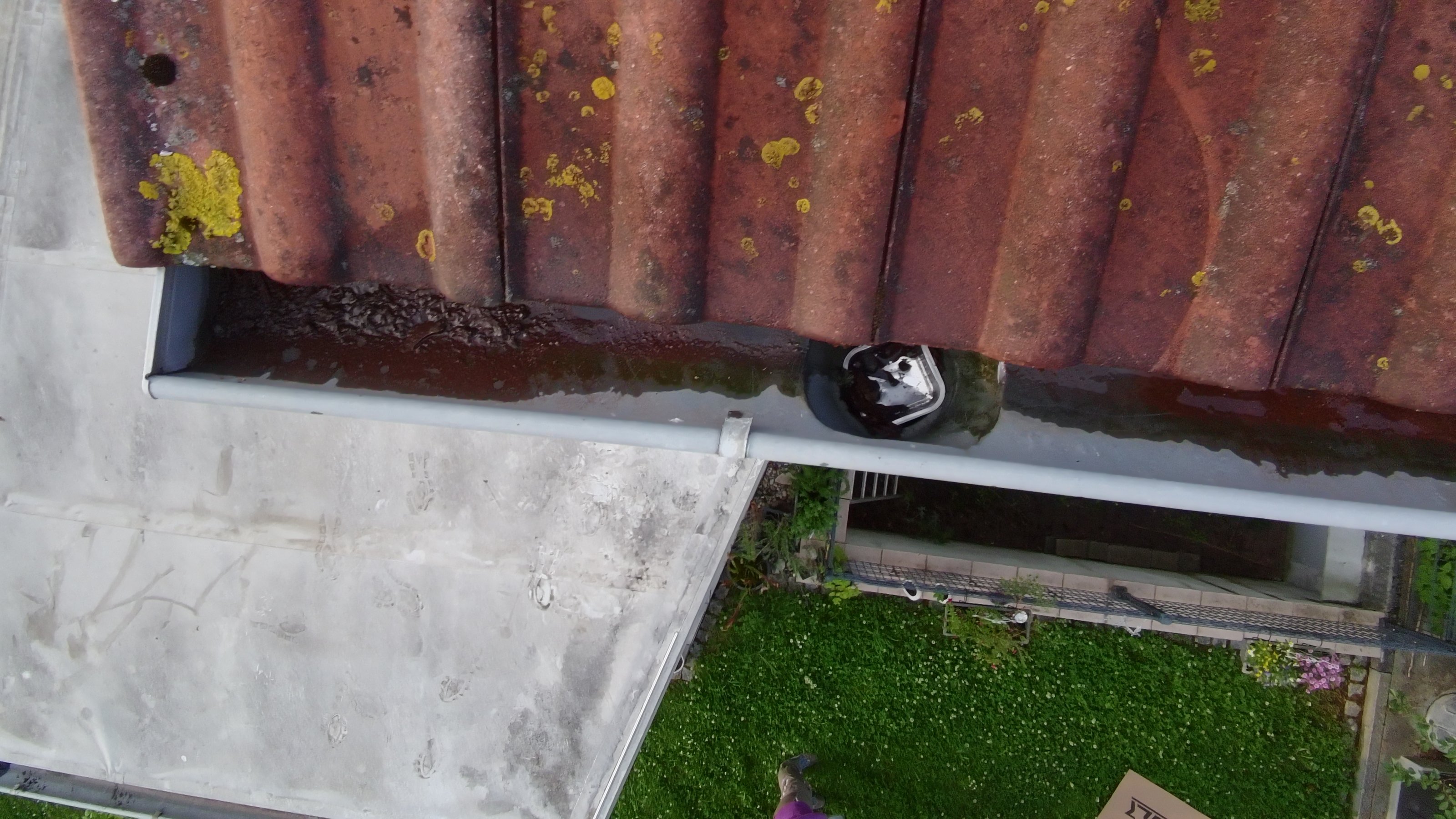 100DRONE_SING0083_20250605195751.JPG