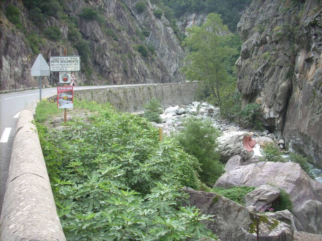13D8776M.jpg