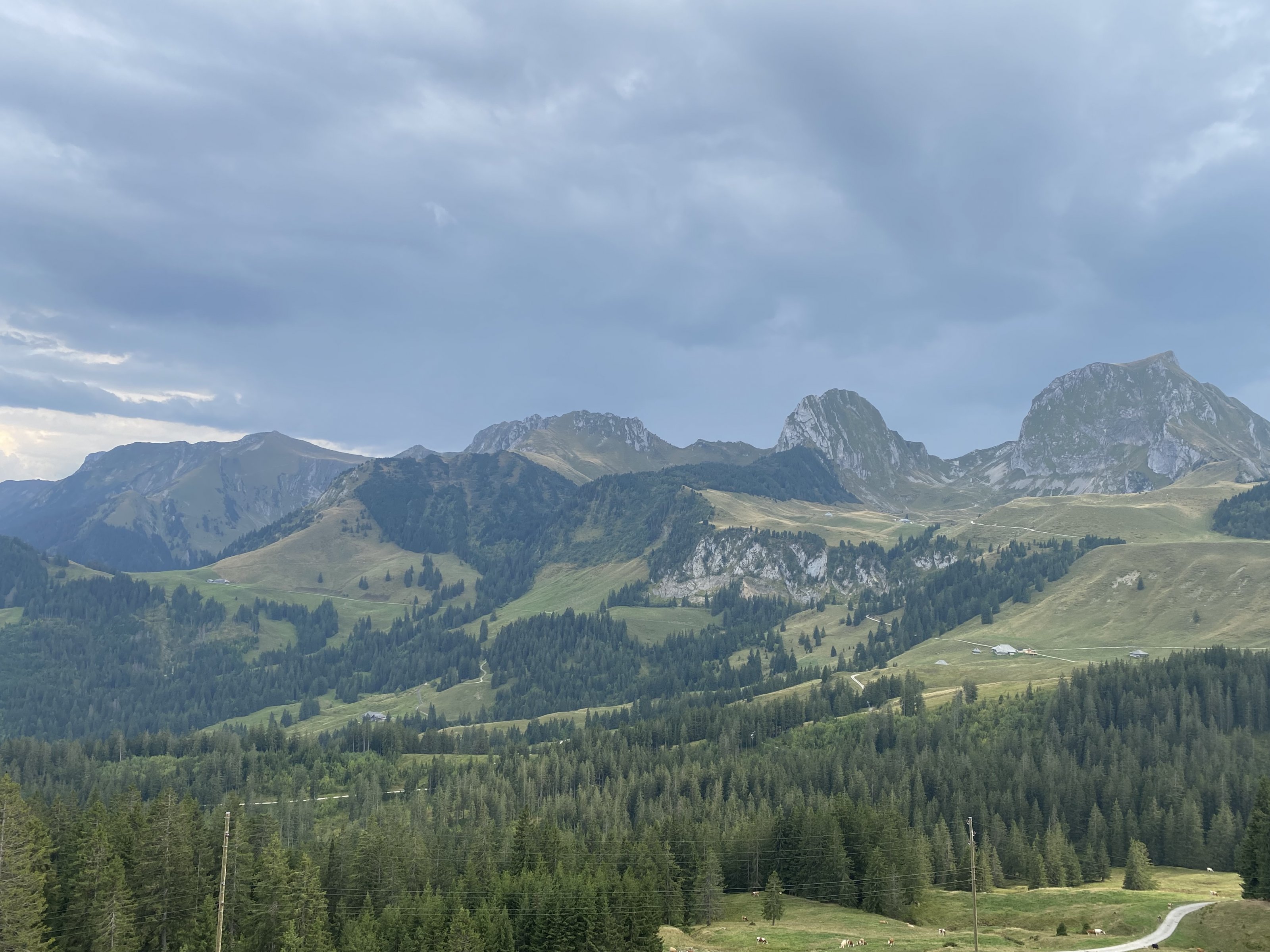 15B1F43A-9BCA-42F0-867C-200BD8425A93.jpeg