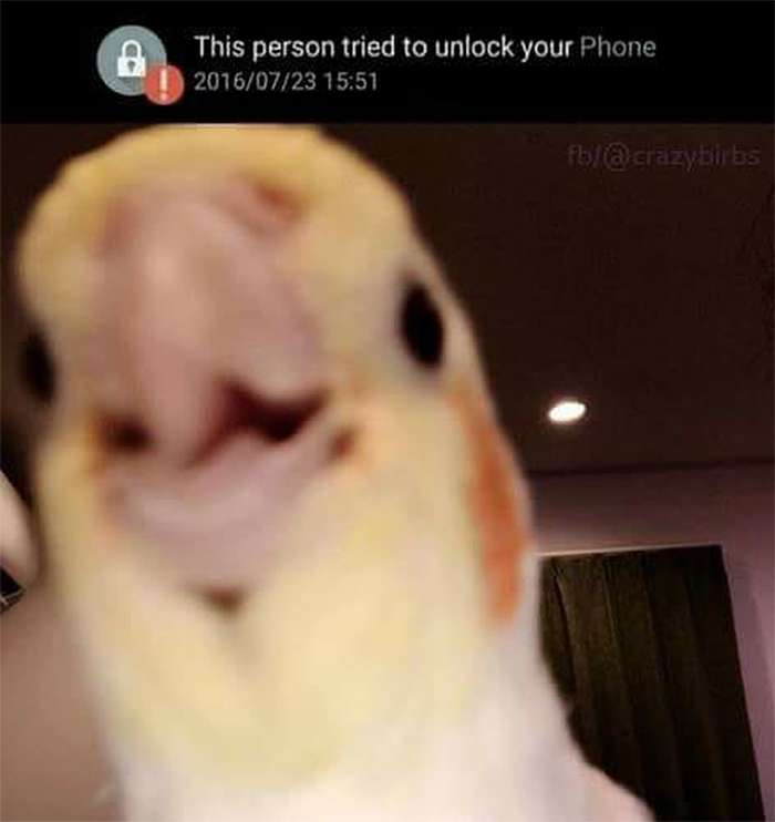 1604829080667.png