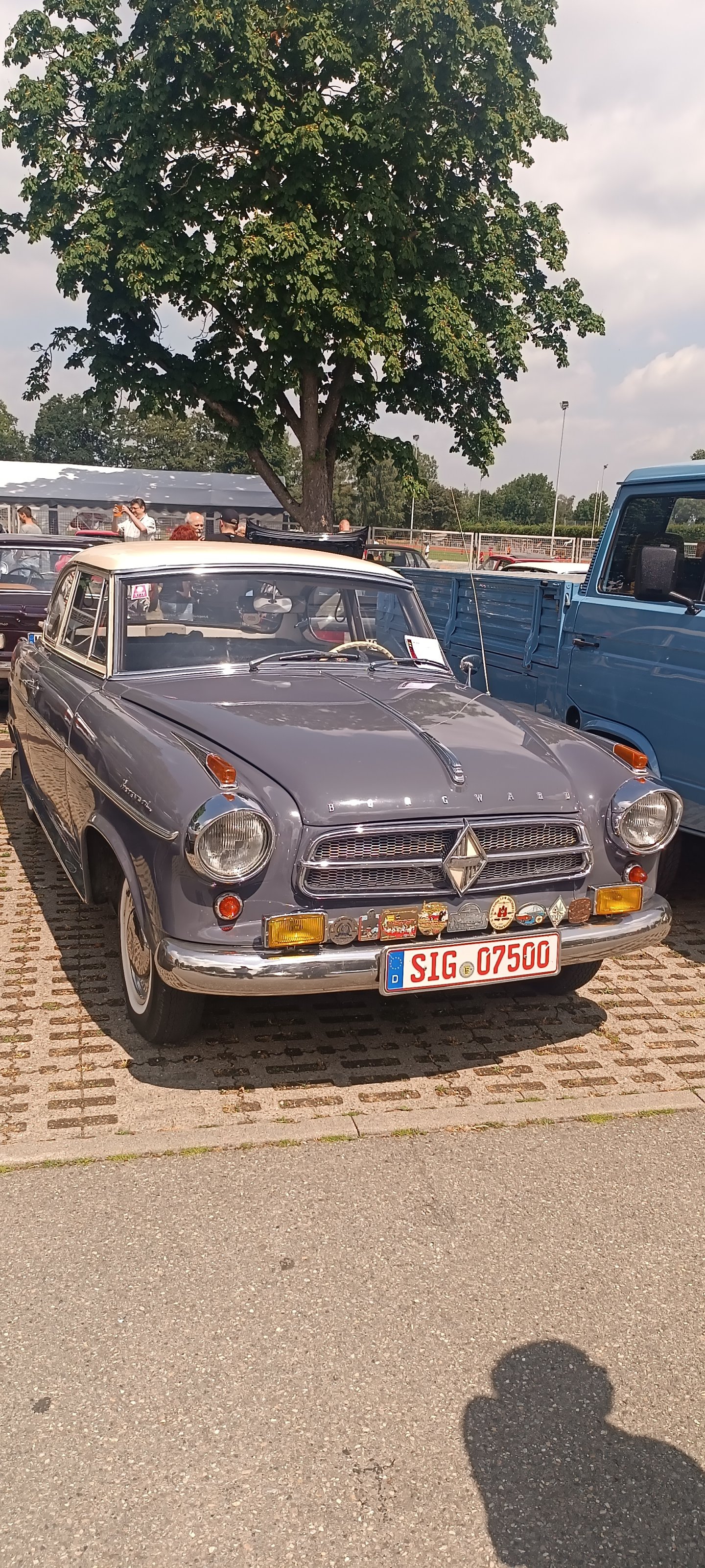 1688325540833.jpg