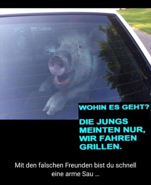 1710833443791.jpeg