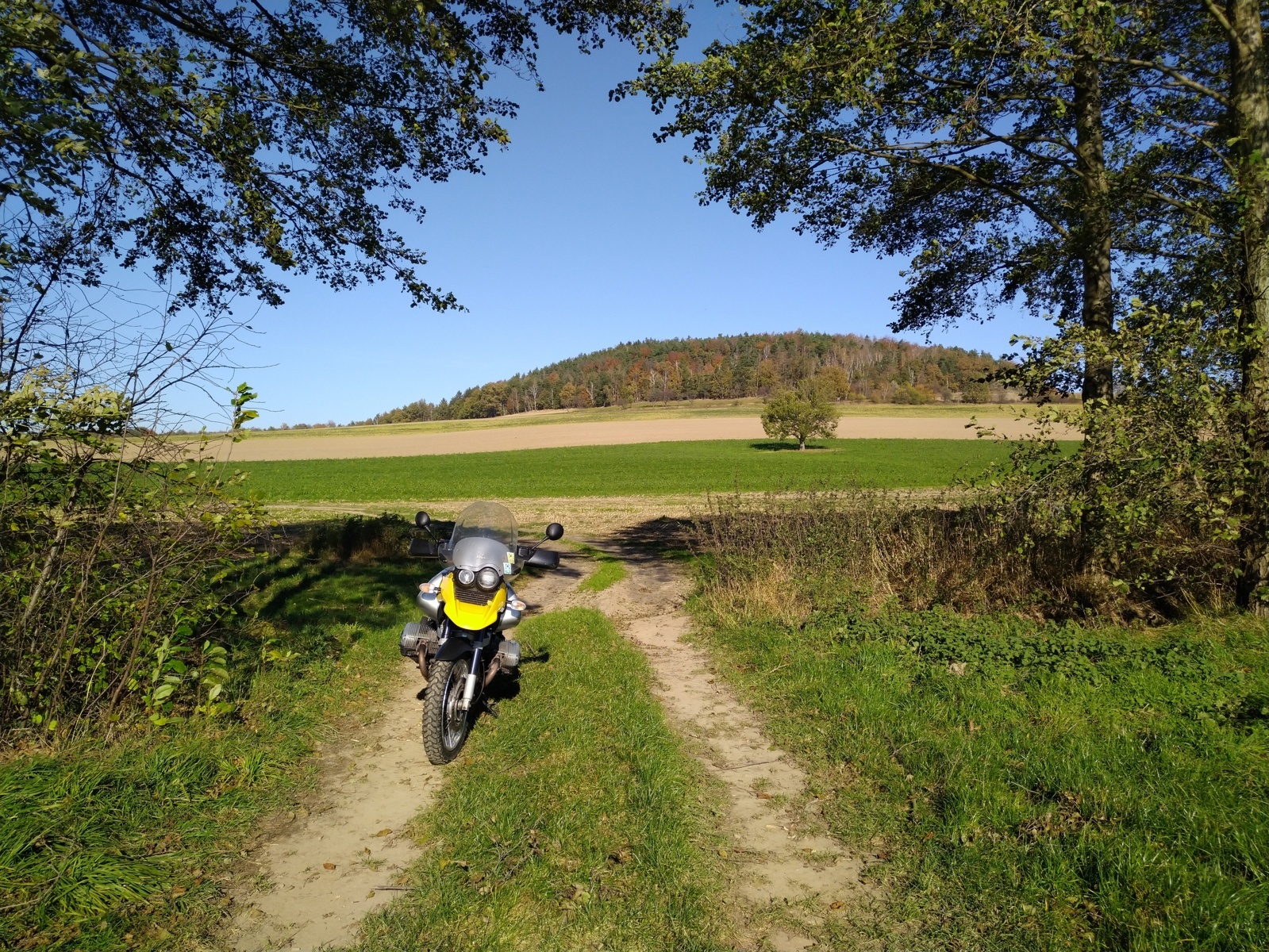 1715 IMG_20211028_131449.jpg