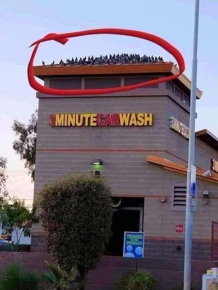 1718751848744.jpeg