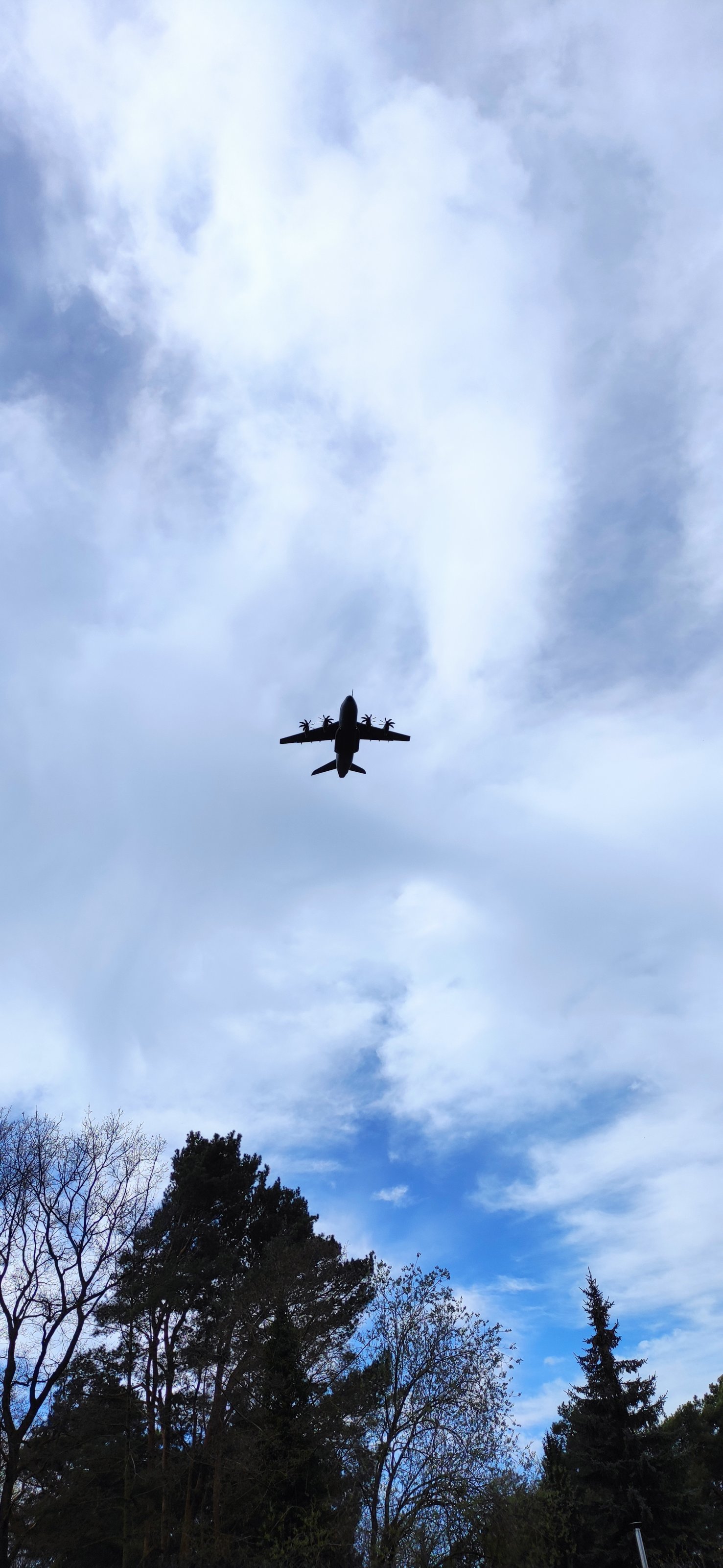 1743970252839.jpg