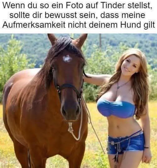 1744789452535.jpeg