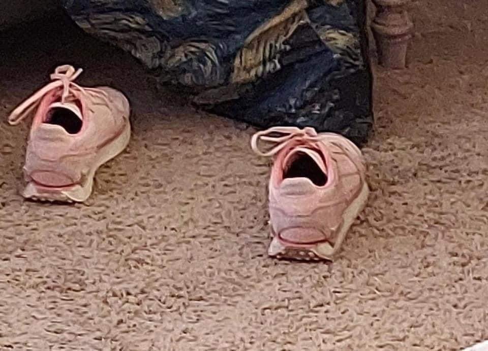 1748743084413.jpeg