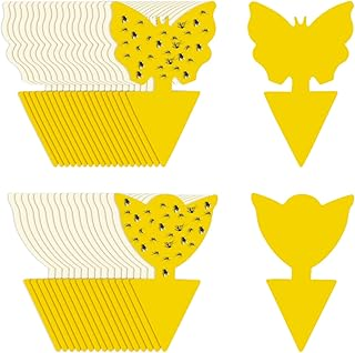 1750750071564.png