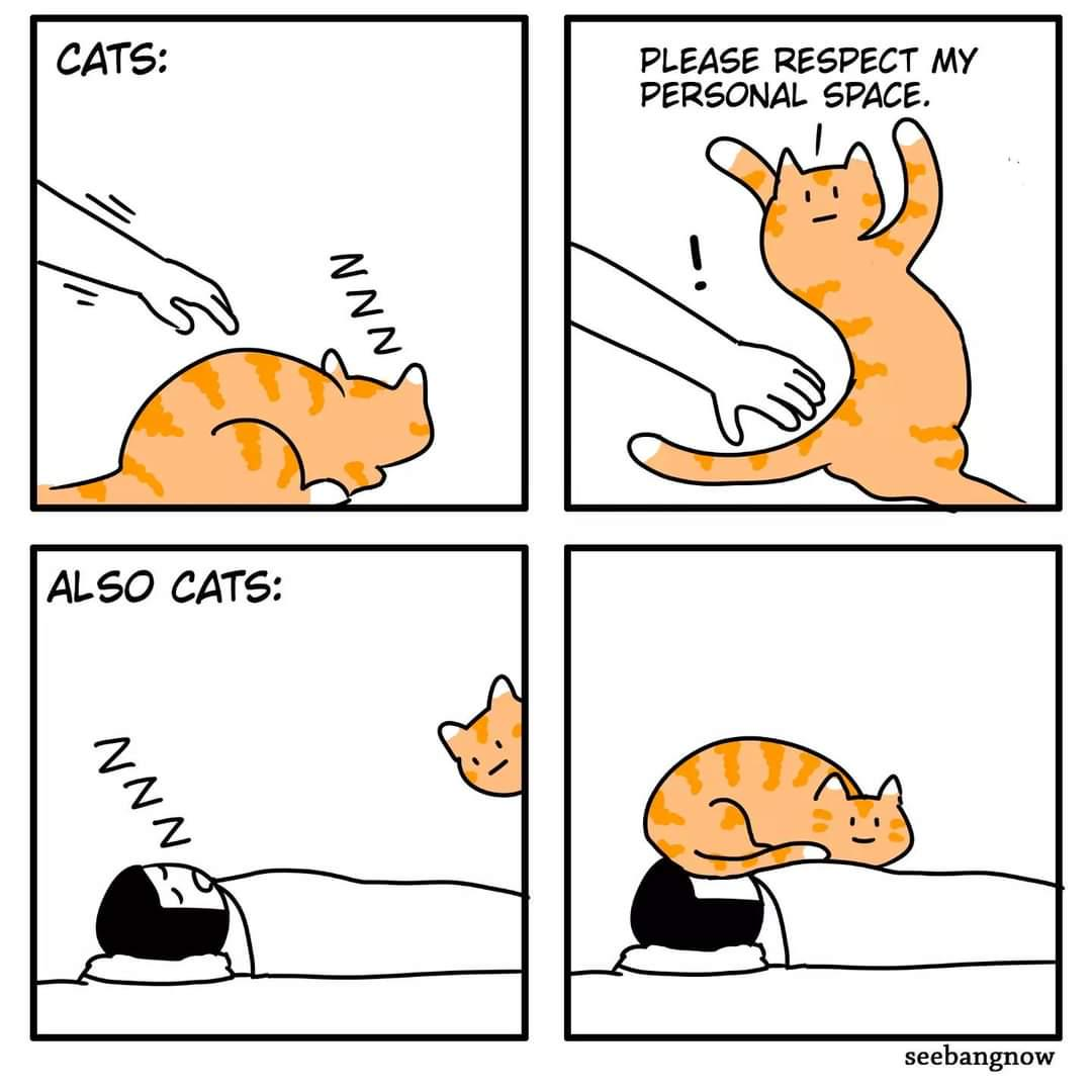 1753211743115.png