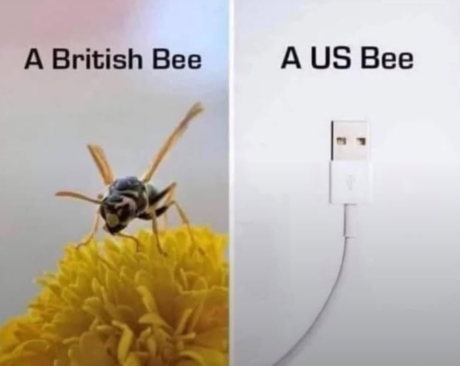 1754551770763.png