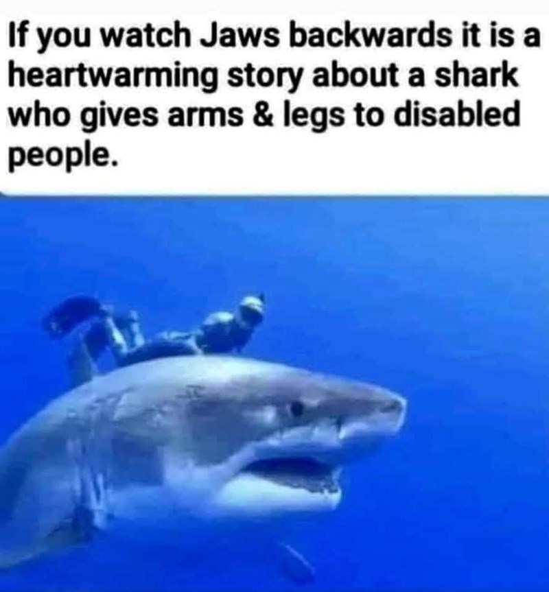 1754719557236.jpeg