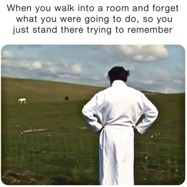 1756231846658.png