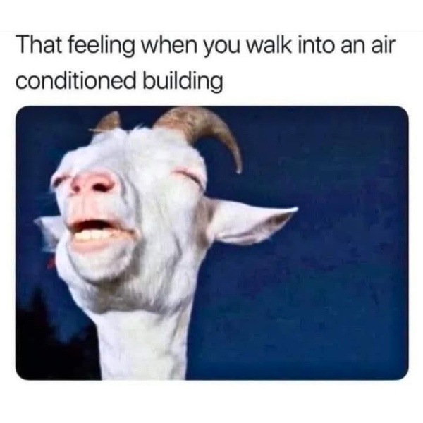 1758462698368.png