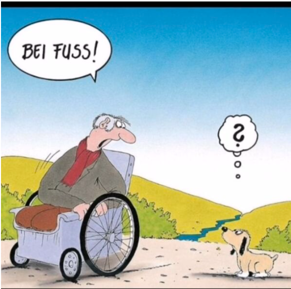 1788443685186.png