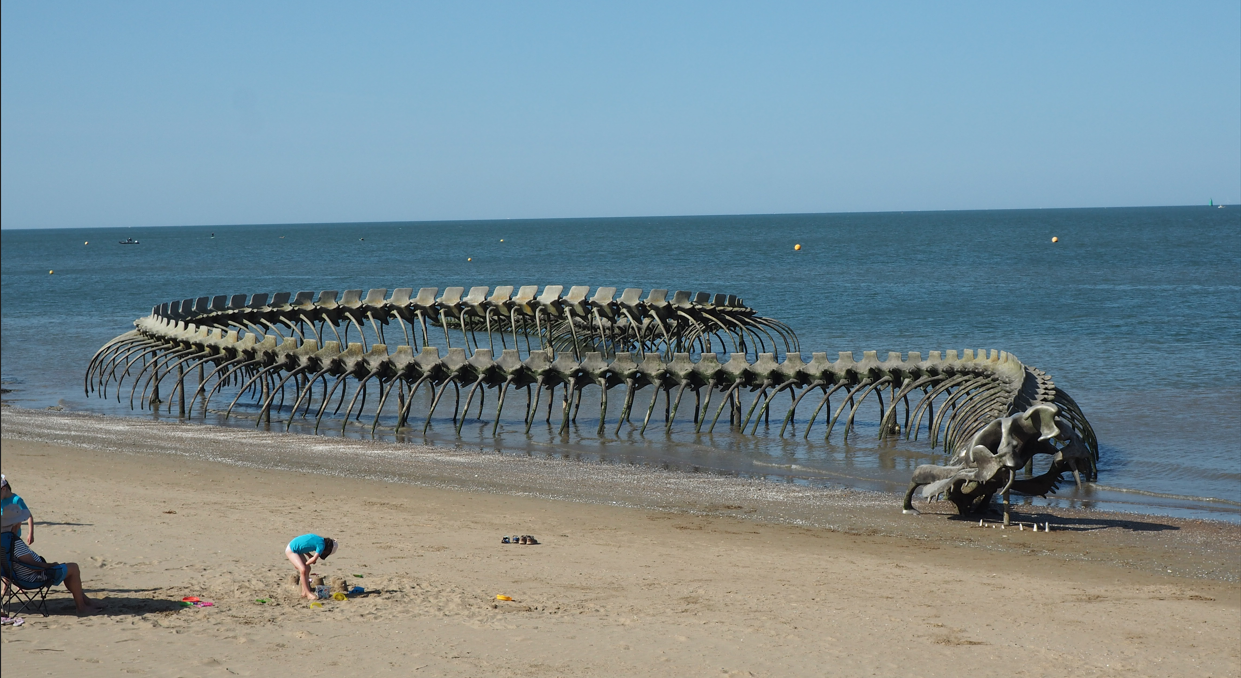 1790176751401.png