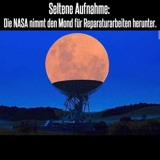 17E5479F-FE57-4847-9813-DADBB3E1C765.jpeg