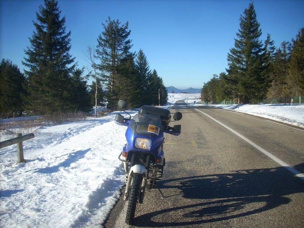 19D6306M.jpg