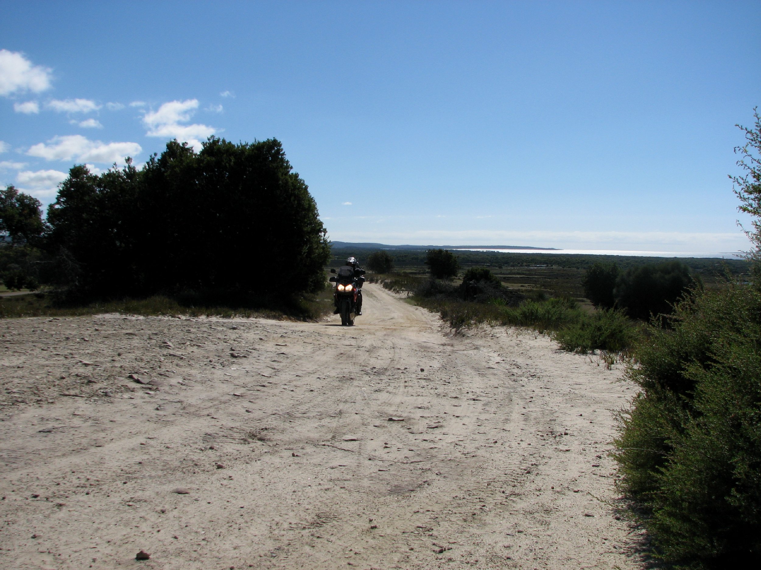 2011Tas084.jpg